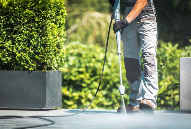 Best Patio and Deck Pressure Washing  in Stockton, IL