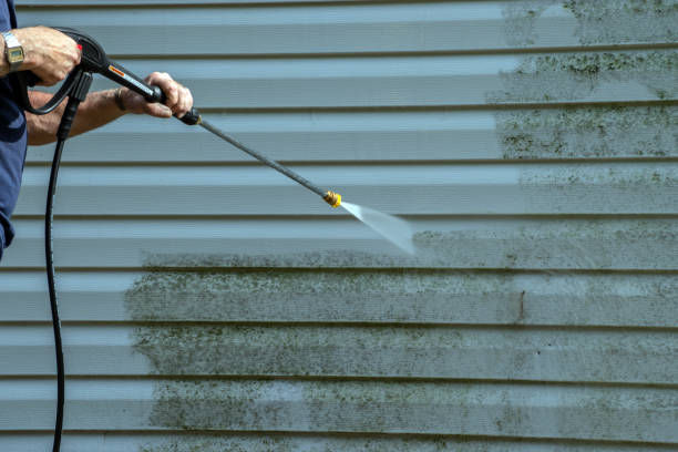 Best Spring Cleaning  in Stockton, IL