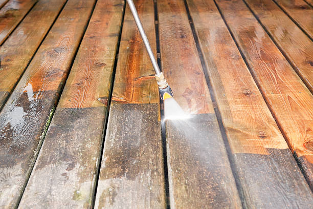 Best Fence Cleaning  in Stockton, IL